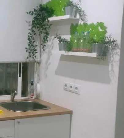 Apartment Betero Estudios